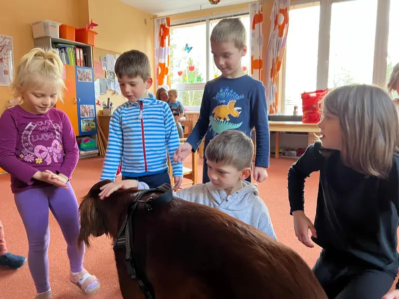 Canisterapie ve školce