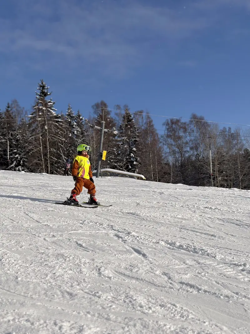 Školka na sněhu