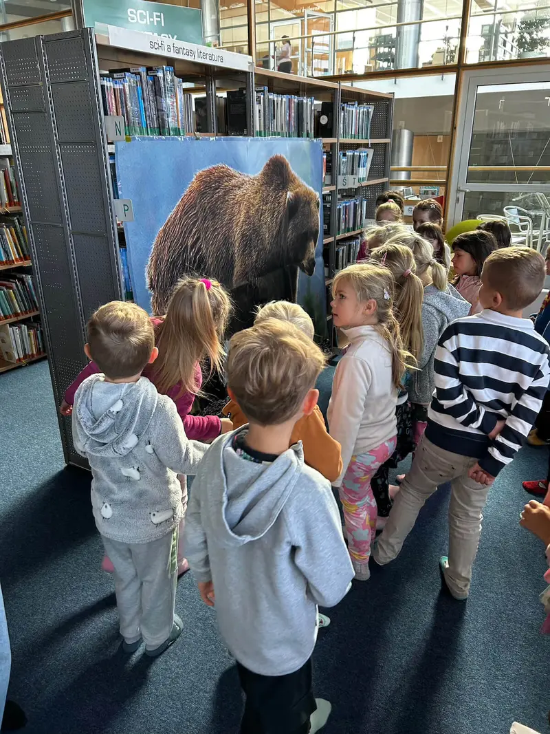 Medvídci v knihovně