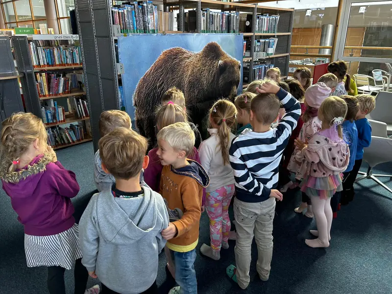 Medvídci v knihovně